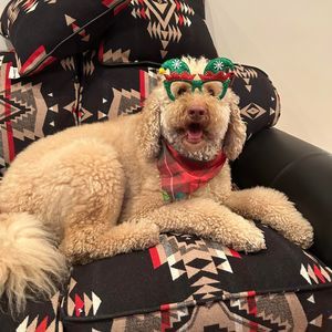 Meet your Posher, Marianne